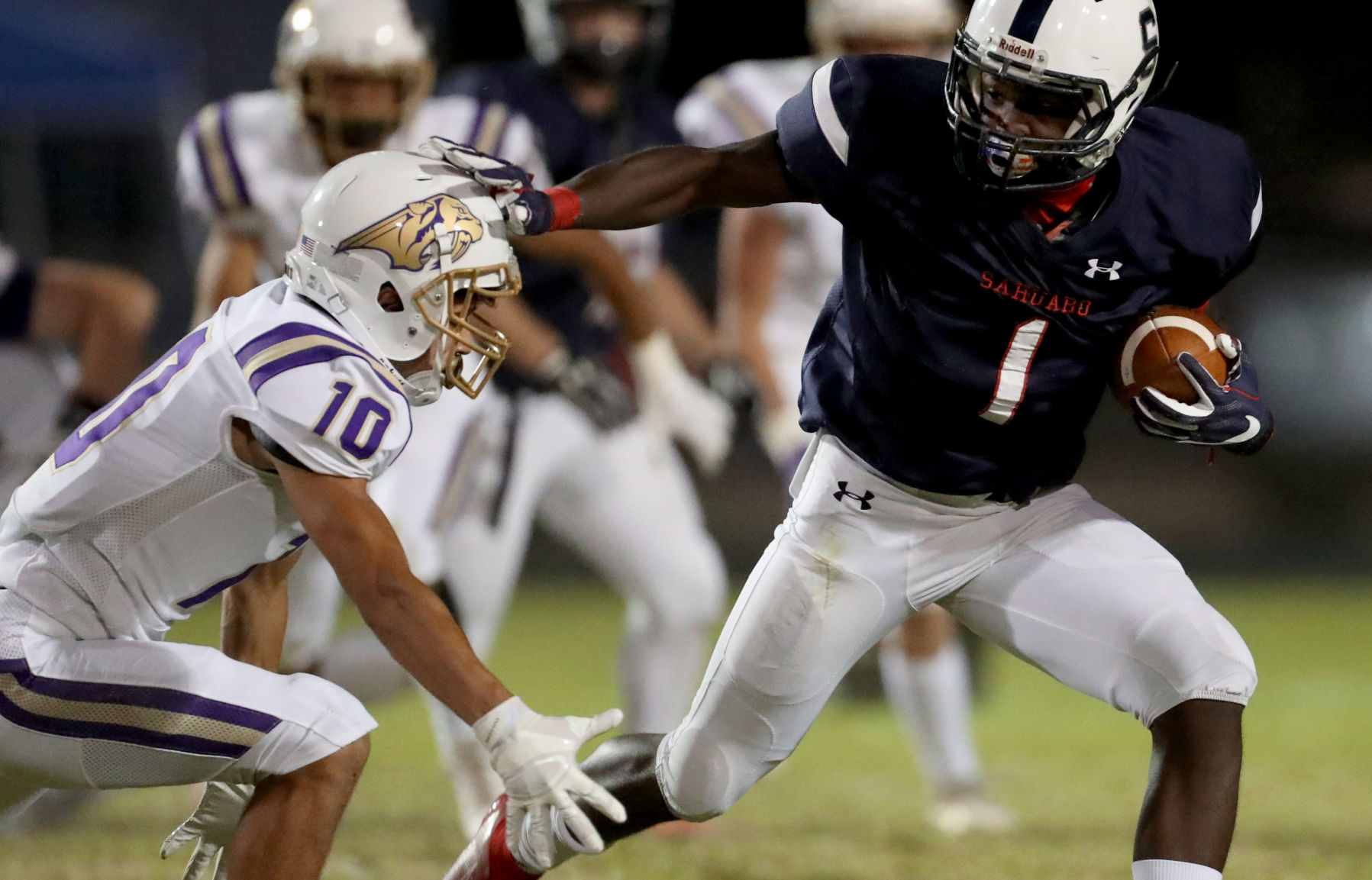 Sabino vs Sahuaro